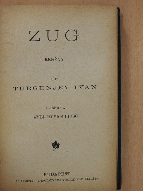 Ifj. Hegedüs Sándor - Zug/Alakok a ködhomályban [antikvár]