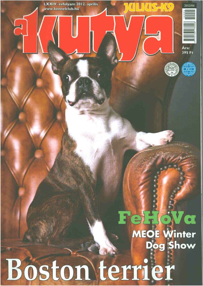 Harcsás Márta - A kutya LXXIV. évf. 2012. április [antikvár]