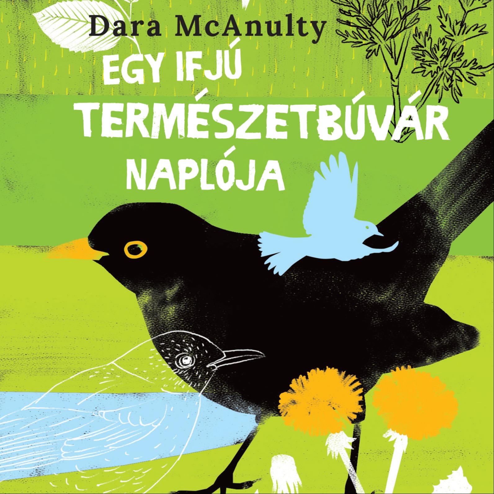 MCANULTY, DARA - Egy ifjú természetbúvár naplója [eHangoskönyv]