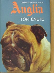Szántó György Tibor - Anglia története [antikvár]