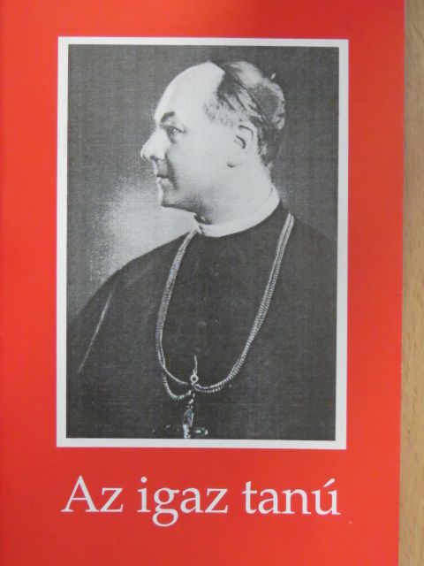 Hölvényi György - Az igaz tanú [antikvár]