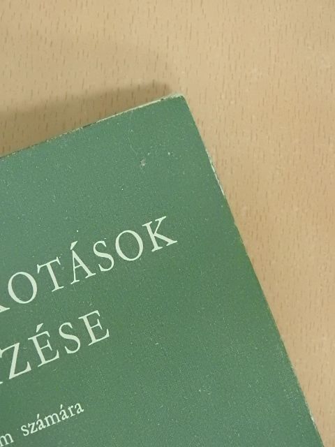 Dr. Maksay László - Műalkotások elemzése [antikvár]