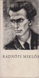 Vasvári István - Radnóti Miklós [antikvár]