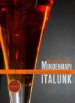 Marton Szabolcs - Mindennapi italunk - Az italok és az italozás kultúrtörténete [antikvár]