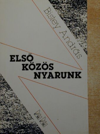 Bistey András - Első közös nyarunk [antikvár]