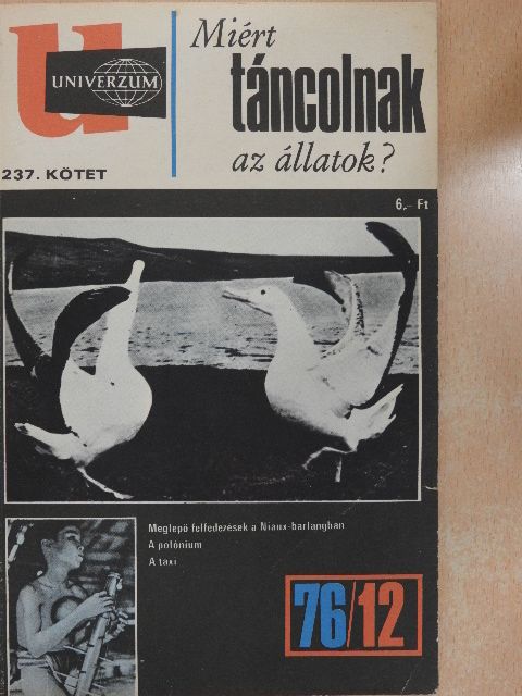 Dr. Rezső Margit - Miért táncolnak az állatok? [antikvár]