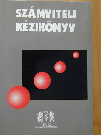 Dr. Bíró Tibor - Számviteli kézikönyv 2005 [antikvár]