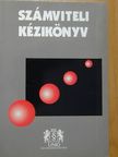 Dr. Bíró Tibor - Számviteli kézikönyv 2005 [antikvár]