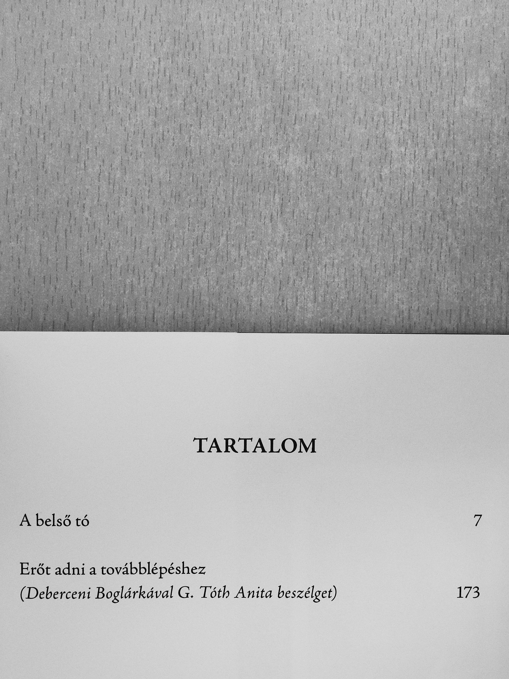 Debreceni Boglárka - A belső tó [antikvár]