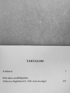 Debreceni Boglárka - A belső tó [antikvár]
