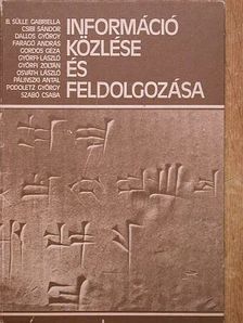 Bárányné Sülle Gabriella - Információ közlése és feldolgozása [antikvár]