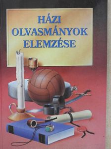 Cervantes - Házi olvasmányok elemzése [antikvár]