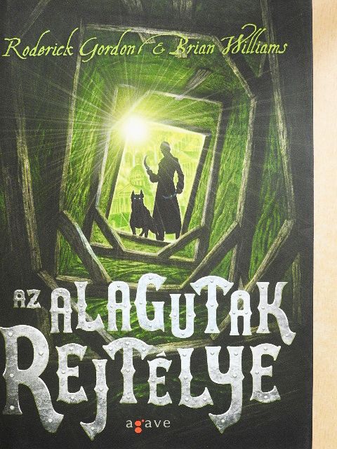 Brian Williams - Az alagutak rejtélye [antikvár]