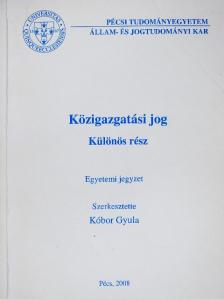 Bencsik András - Közigazgatási jog [antikvár]