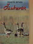 Fekete István - Tüskevár [antikvár]