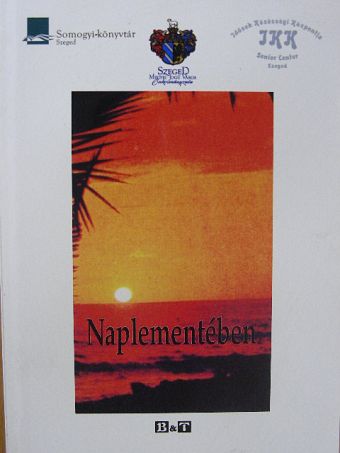 Ancsa Molnár Sándorné - Naplementében [antikvár]