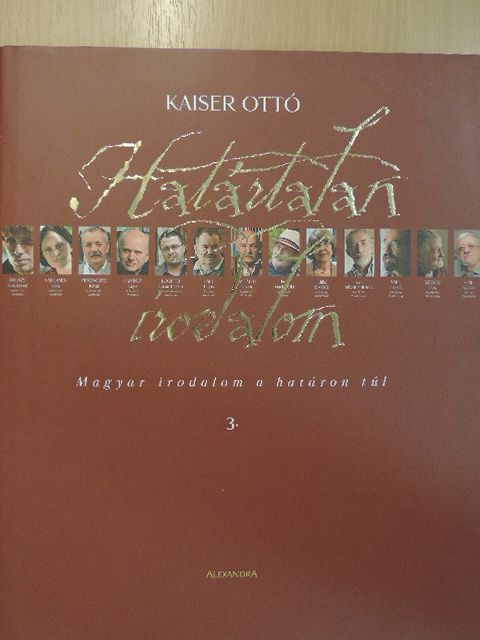 Diósdi László - Határtalan irodalom 3. [antikvár]