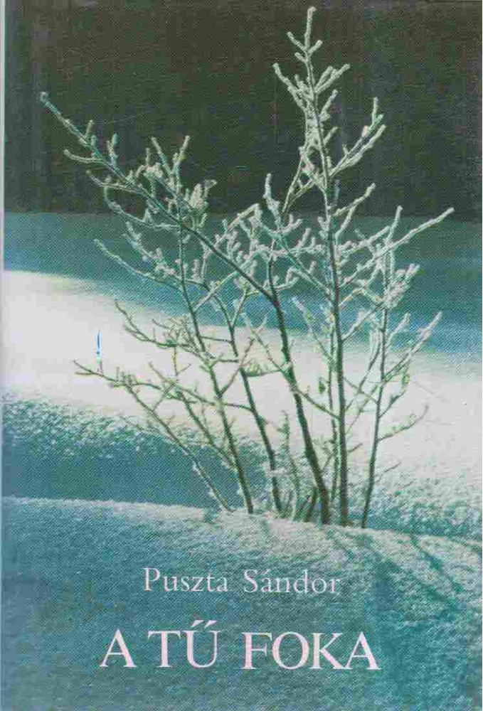 PUSZTA SÁNDOR - A tű foka [antikvár]