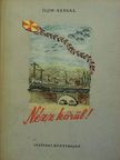 Iljin - Nézz körül! [antikvár]