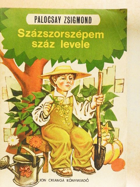 Palocsay Zsigmond - Százszorszépem száz levele [antikvár]