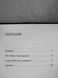 Böndör Pál - Vásárlási lázgörbe [antikvár]