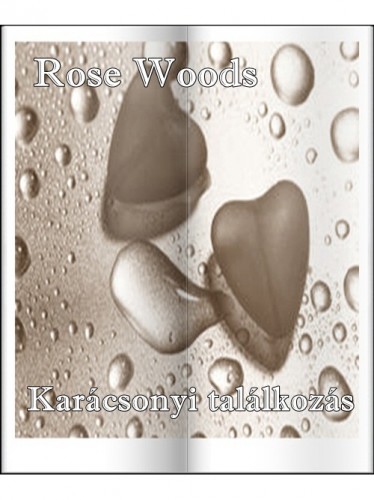 Rose Woods - Karácsonyi találkozás [eKönyv: epub, mobi]