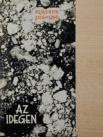 Remenyik Zsigmond - Az idegen [antikvár]