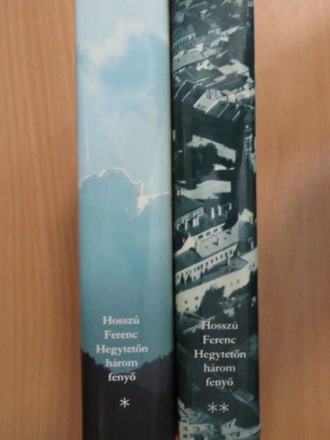 Hosszú Ferenc - Hegytetőn három fenyő I-II. [antikvár]