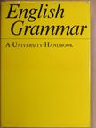 Dr. Dieter Giering - English Grammar [antikvár]