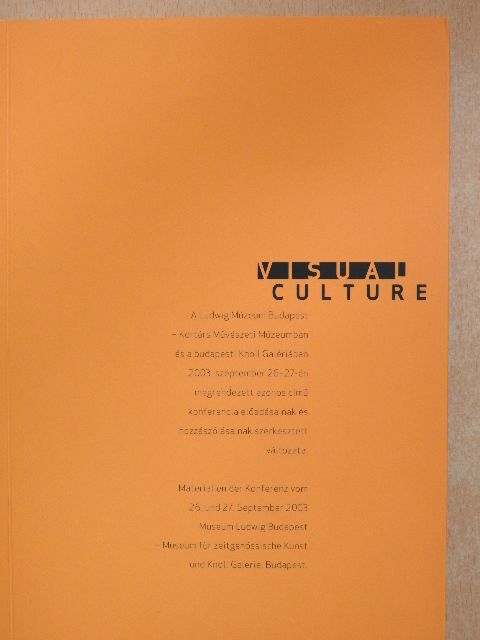 Visual Culture [antikvár]