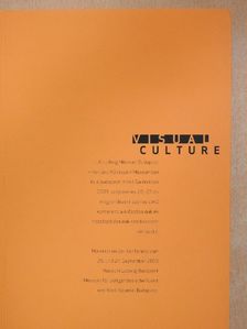 Visual Culture [antikvár]