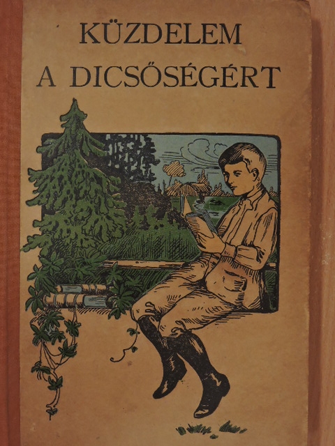 Ujfalussy Amadil - Küzdelem a dicsőségért [antikvár]
