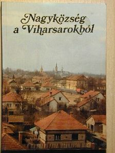 Baráth Lajos - Nagyközség a Viharsarokból [antikvár]