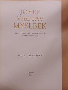 Dr. V. V. Stech - Josef Václav Myslbek [antikvár]