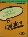 Amacziné Dr. Bíró Zsuzsa - Készüljünk az érettségire! Irodalom [antikvár]