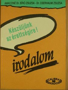 Amacziné Dr. Bíró Zsuzsa - Készüljünk az érettségire! Irodalom [antikvár]