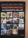 Bernát Tivadar - Magyarország gazdaságföldrajza [antikvár]
