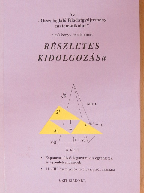 Filetóth István - Az "Összefoglaló feladatgyűjtemény matematikából" című könyv feladatainak részletes kidolgozása X. fejezet [antikvár]