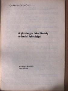 A gázenergia takarékosság műszaki lehetőségei [antikvár]