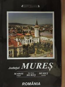 Mihail Art. Mircea - Judetul Mures [antikvár]