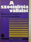 Bethlendi László - Hatékonyság iparosodó mezőgazdaságunkban [antikvár]