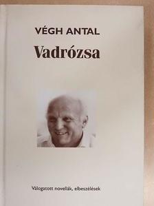 Végh Antal - Vadrózsa [antikvár]