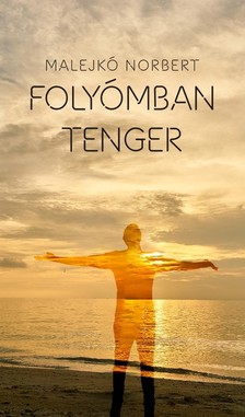 Malejkó Norbert - Folyómban tenger