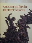 Kovács Péter - Székesfehérvár rejtett kincse [antikvár]