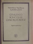 Dr. Tömböl Teréz - Útmutató boncolási gyakorlatokhoz [antikvár]