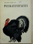 Koplikné dr. Kovács Éva - Pulykatenyésztés [antikvár]