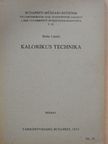 Helm László - Kalorikus technika [antikvár]