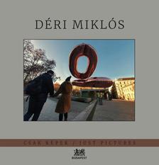KINCSES KÁROLY SZERK. - Csak Képek - DÉRI MIKLÓS