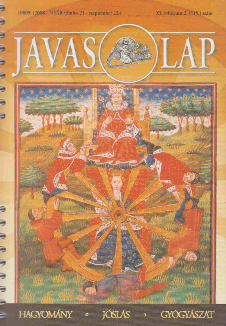 Csörgő Zoltán - Javaslap 2008. nyár (június 21. - szeptember 22.) [antikvár]