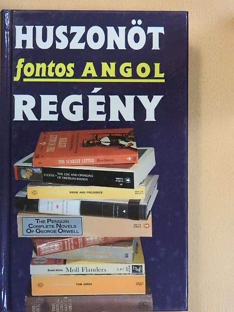 Abádi Nagy Zoltán - Huszonöt fontos angol regény [antikvár]
